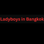 Ladyboys in Bangkok: Top Spots to Find Thai Ladyboys for Sex